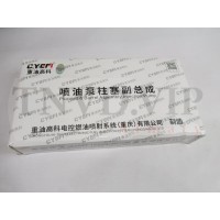 Плунжерная пара SINOTRUK X920A (хорошая)