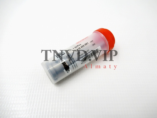 Плунжерная пара 2455 091 [83650]