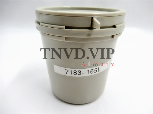 Плунжерная пара (Ротор головки) 7183-165 [83194]