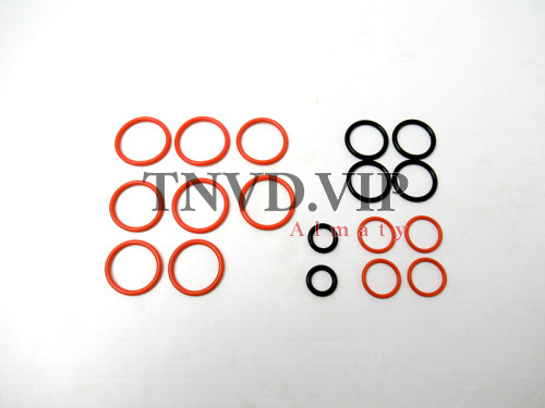 Ремкомплект ТНВД BQ (N90392) [80174]