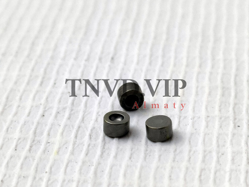 Направляюшие F00RJ21001 [80609]