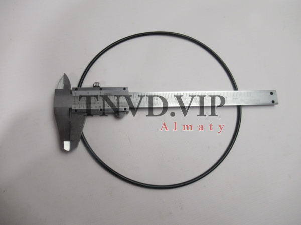 Кольцо уплотнительное фланца ТНВД  D=17см [82693]