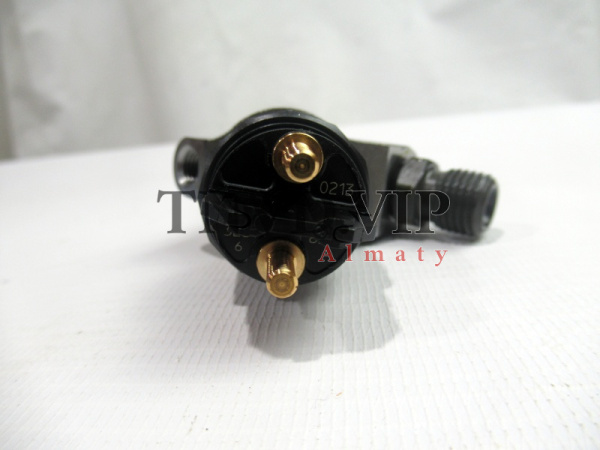 Форсунка топливная WP10 Euro III  (2 клапана) [20176]