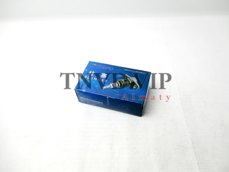 Плунжерная пара WEIFU PL2 [90462]