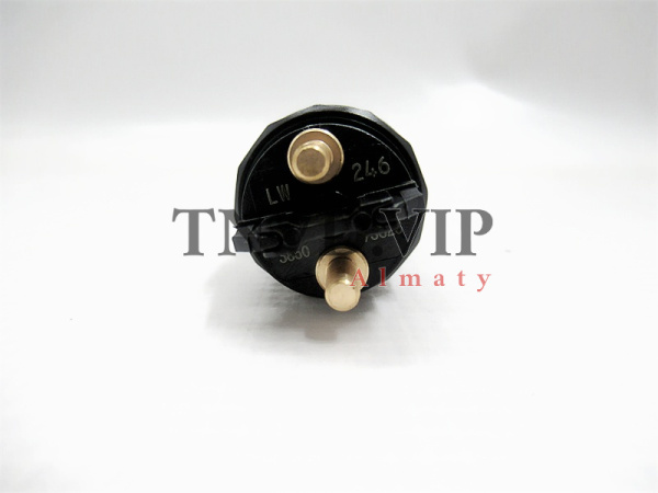 Форсунка топливная 0445120246 [83168]