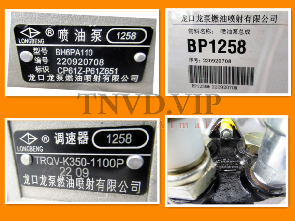 ТНВД CP61Z-P61Z651/BP1258 LONGKOU [90753]