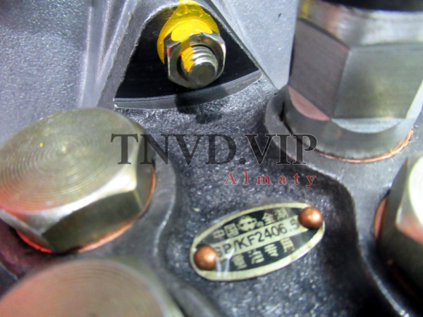 ТНВД CB6TH983/VG1096080130 [82529]