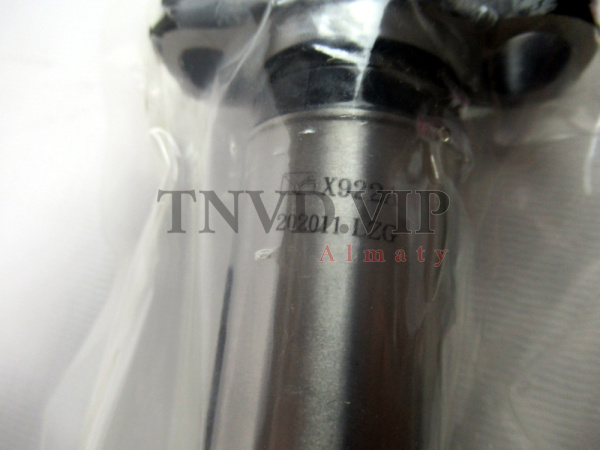 Плунжерная пара X922A CHONGQING (хорошая) [80620]