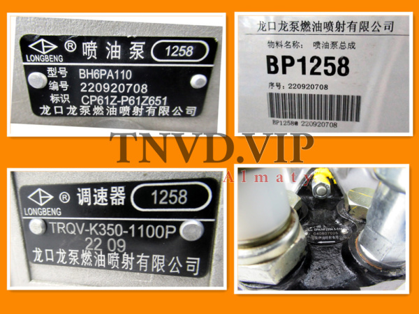ТНВД CP61Z-P61Z651/BP1258 LONGKOU [90753]