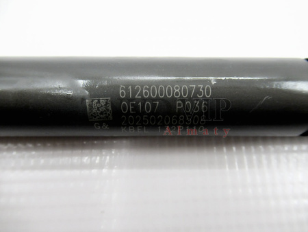 Форсунка топливная WD618 (Распылитель 155P217) [81175]