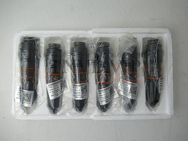 Форсунка топливная CUMMINS 3047991 NT855 10тон кран [90653]